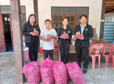 กระจายผลผลิตหอมแดง (มัดจุก) พารามิเตอร์รูปภาพ 4