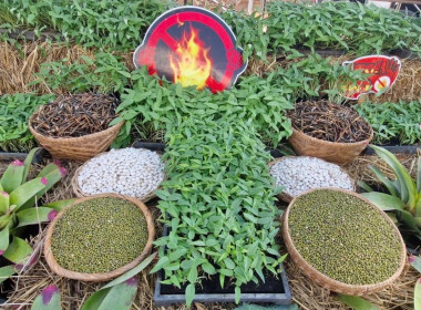 โครงการส่งเสริมการเกษตรที่เป็นมิตรกับสิ่งแวดล้อม ปีงบประมาณ ... พารามิเตอร์รูปภาพ 6