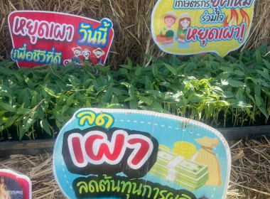 โครงการส่งเสริมการเกษตรที่เป็นมิตรกับสิ่งแวดล้อม ปีงบประมาณ ... พารามิเตอร์รูปภาพ 7