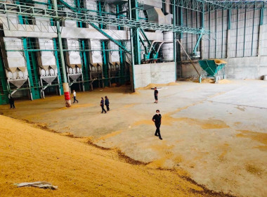 ร่วมตรวจสอบสต็อกข้าวผู้ประกอบการค้าข้าวที่เข้าร่วมโครงการชดเชยดอกเบี้ยในการเก็บสต็อก ปีการผลิต 2568/69 ... พารามิเตอร์รูปภาพ 8