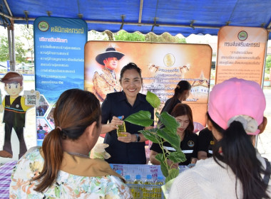 โครงการคลินิกเกษตรเคลื่อนที่ในพระราชานุเคราะห์ ... พารามิเตอร์รูปภาพ 14