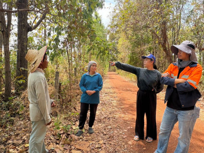 ลงพื้นที่สำรวจวงรอบรายแปลง พื้นที่เขตป่าไม้ส่วนกลาง พารามิเตอร์รูปภาพ 1
