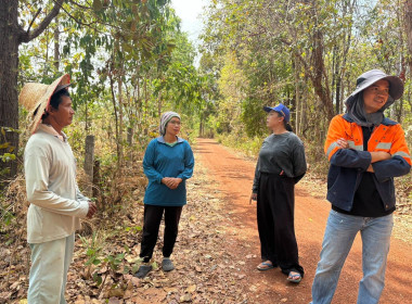 ลงพื้นที่สำรวจวงรอบรายแปลง พื้นที่เขตป่าไม้ส่วนกลาง พารามิเตอร์รูปภาพ 1