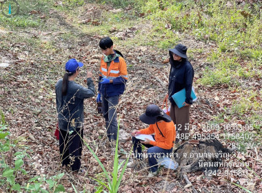 ลงพื้นที่สำรวจวงรอบรายแปลง พื้นที่เขตป่าไม้ส่วนกลาง พารามิเตอร์รูปภาพ 2