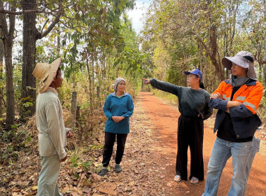 ลงพื้นที่สำรวจวงรอบรายแปลง พื้นที่เขตป่าไม้ส่วนกลาง พารามิเตอร์รูปภาพ 3