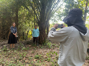 ลงพื้นที่สำรวจวงรอบรายแปลง พื้นที่เขตป่าไม้ส่วนกลาง พารามิเตอร์รูปภาพ 3