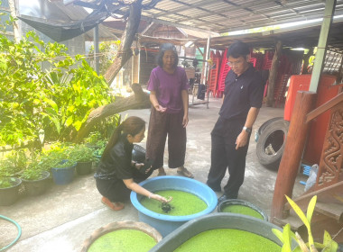 ติดตามโครงการดำเนินงานตามแผนงาน ประจำปีงบประมาณ พ.ศ. ๒๕๖๙ พารามิเตอร์รูปภาพ 6