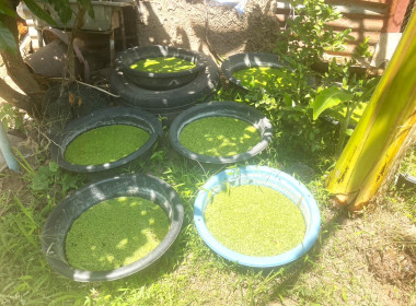 ติดตามโครงการดำเนินงานตามแผนงาน ประจำปีงบประมาณ พ.ศ. ๒๕๖๙ พารามิเตอร์รูปภาพ 7