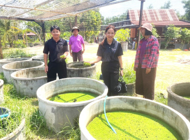 ติดตามโครงการดำเนินงานตามแผนงาน ประจำปีงบประมาณ พ.ศ. ๒๕๖๙ พารามิเตอร์รูปภาพ 8