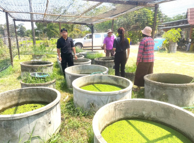 ติดตามโครงการดำเนินงานตามแผนงาน ประจำปีงบประมาณ พ.ศ. ๒๕๖๙ พารามิเตอร์รูปภาพ 9