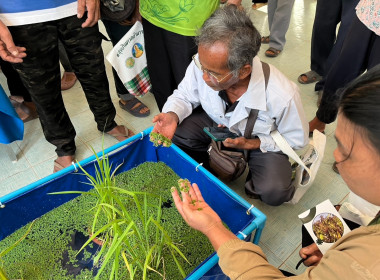 ร่วมเป็นเกียรติในการจัดฝึกอบรม ... พารามิเตอร์รูปภาพ 5