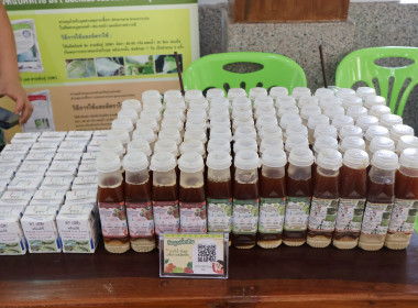 โครงการส่งเสริมอาชีพให้เกษตรกร ในพื้นที่ คทช. ... พารามิเตอร์รูปภาพ 9