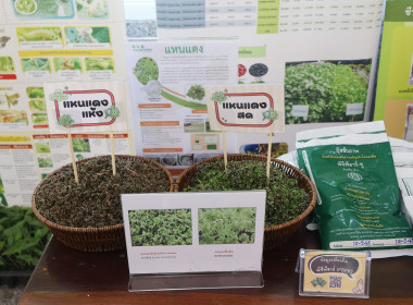 โครงการส่งเสริมอาชีพให้เกษตรกร ในพื้นที่ คทช. ... พารามิเตอร์รูปภาพ 10