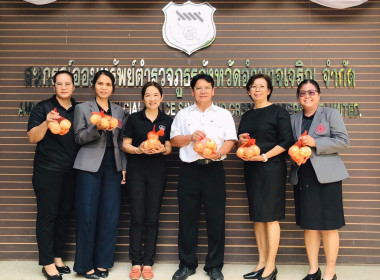 กระจายผลผลิต “หอมหัวใหญ่” จังหวัดเชียงใหม่ พารามิเตอร์รูปภาพ 2