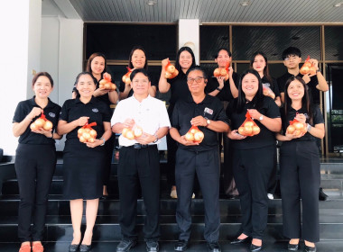 กระจายผลผลิต “หอมหัวใหญ่” จังหวัดเชียงใหม่ พารามิเตอร์รูปภาพ 1