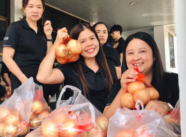 กระจายผลผลิต “หอมหัวใหญ่” จังหวัดเชียงใหม่ พารามิเตอร์รูปภาพ 6