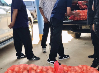 กระจายผลผลิต “หอมหัวใหญ่” จังหวัดเชียงใหม่ พารามิเตอร์รูปภาพ 4