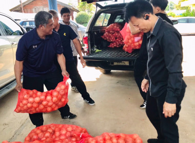 กระจายผลผลิต “หอมหัวใหญ่” จังหวัดเชียงใหม่ พารามิเตอร์รูปภาพ 5