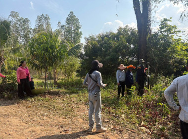 ลงพื้นที่สำรวจวงรอบรายแปลง พื้นที่เขตป่าไม้ส่วนกลาง พารามิเตอร์รูปภาพ 15