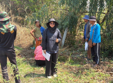 ลงพื้นที่สำรวจวงรอบรายแปลง พื้นที่เขตป่าไม้ส่วนกลาง พารามิเตอร์รูปภาพ 16