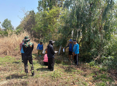 ลงพื้นที่สำรวจวงรอบรายแปลง พื้นที่เขตป่าไม้ส่วนกลาง พารามิเตอร์รูปภาพ 17