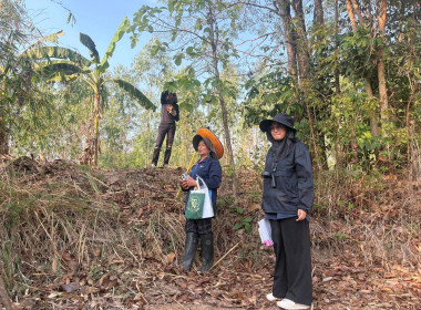 ลงพื้นที่สำรวจวงรอบรายแปลง พื้นที่เขตป่าไม้ส่วนกลาง พารามิเตอร์รูปภาพ 18