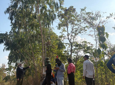ลงพื้นที่สำรวจวงรอบรายแปลง พื้นที่เขตป่าไม้ส่วนกลาง พารามิเตอร์รูปภาพ 20