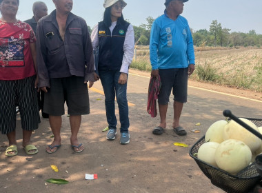 ลงพื้นที่สำรวจวงรอบรายแปลง พื้นที่เขตป่าไม้ส่วนกลาง พารามิเตอร์รูปภาพ 4