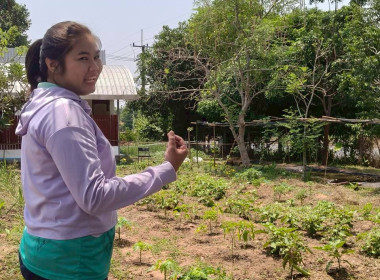 ติดตามผลการดำเนินของสหกรณ์การเกษตรนาดี อำนาจเจริญ จำกัด พารามิเตอร์รูปภาพ 7