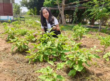 ติดตามผลการดำเนินของสหกรณ์การเกษตรนาดี อำนาจเจริญ จำกัด พารามิเตอร์รูปภาพ 8