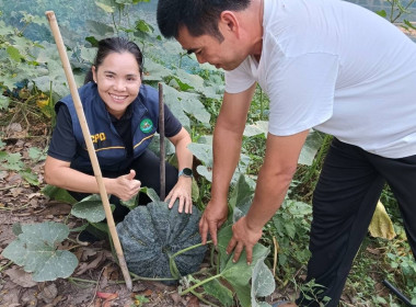 ออกติดตามการดำเนินงานการขับเคลื่อนปรัชญาของเศรษฐกิจพอเพียงในสหกรณ์และกลุ่มเกษตรกร ... พารามิเตอร์รูปภาพ 4
