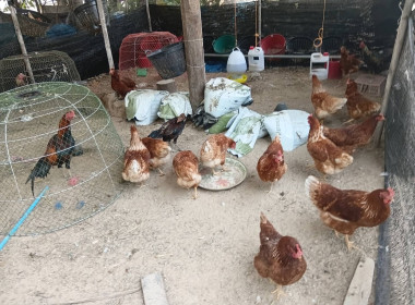 ออกติดตามการดำเนินงานการขับเคลื่อนปรัชญาของเศรษฐกิจพอเพียงในสหกรณ์และกลุ่มเกษตรกร ... พารามิเตอร์รูปภาพ 5