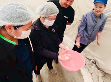 ร่วมตรวจสอบสต็อกข้าวผู้ประกอบการค้าข้าวที่เข้าร่วมโครงการชดเชยดอกเบี้ย ... พารามิเตอร์รูปภาพ 4