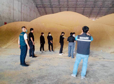 ร่วมตรวจสอบสต็อกข้าวผู้ประกอบการค้าข้าวที่เข้าร่วมโครงการชดเชยดอกเบี้ย ... พารามิเตอร์รูปภาพ 8
