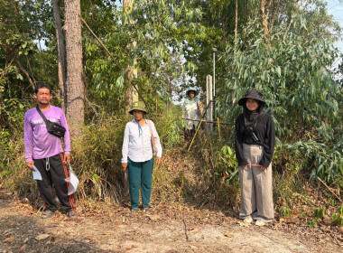 ลงพื้นที่สำรวจวงรอบรายแปลง พื้นที่เขตป่าไม้ส่วนกลาง พารามิเตอร์รูปภาพ 4