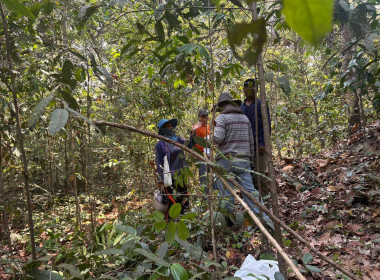 ลงพื้นที่สำรวจวงรอบรายแปลง พื้นที่เขตป่าไม้ส่วนกลาง พารามิเตอร์รูปภาพ 5