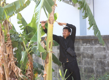 โครงการหนึ่งความดี ล้านความรัก ภูมิใจภักดิ์พระพันปีหลวง พารามิเตอร์รูปภาพ 5