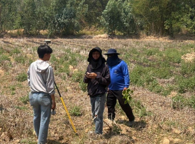 ลงพื้นที่สำรวจวงรอบรายแปลง พื้นที่เขตป่าไม้ส่วนกลาง พารามิเตอร์รูปภาพ 3