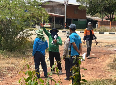 ลงพื้นที่สำรวจวงรอบรายแปลง พื้นที่เขตป่าไม้ส่วนกลาง พารามิเตอร์รูปภาพ 5