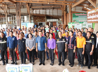 โครงการเพิ่มประสิทธิภาพการผลิตสินค้าเกษตรมูลค่าสูงเพื่อความมั่นคงและยั่งยืน ... พารามิเตอร์รูปภาพ 2