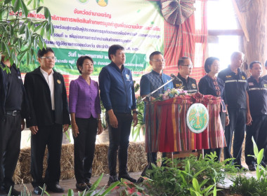 โครงการเพิ่มประสิทธิภาพการผลิตสินค้าเกษตรมูลค่าสูงเพื่อความมั่นคงและยั่งยืน ... พารามิเตอร์รูปภาพ 6
