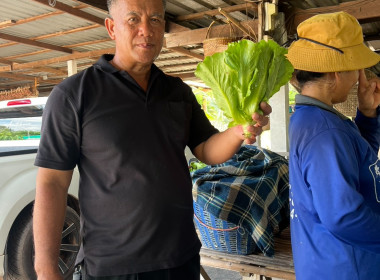 ส่งเสริมอาชีพเสริมการปลูกผักปลอดภัยในเขตพื้นที่นิคมสหกรณ์พนา พารามิเตอร์รูปภาพ 5