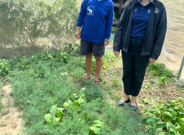 ส่งเสริมอาชีพเสริมการปลูกผักปลอดภัยในเขตพื้นที่นิคมสหกรณ์พนา พารามิเตอร์รูปภาพ 6