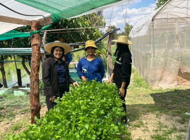 ส่งเสริมอาชีพเสริมการปลูกผักปลอดภัยในเขตพื้นที่นิคมสหกรณ์พนา พารามิเตอร์รูปภาพ 3