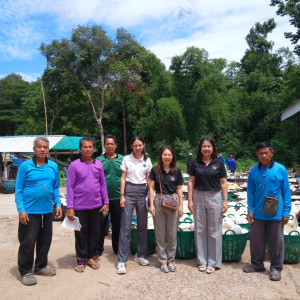 แนะนำการดำเนินธุรกิจรวบรวมยางพารา ... พารามิเตอร์รูปภาพ 1