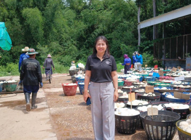 แนะนำการดำเนินธุรกิจรวบรวมยางพารา ... พารามิเตอร์รูปภาพ 3