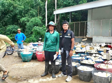 ธุรกิจการรวบรวมยางพารากลุ่มเกษตรกรชาวสวนยางอำเภอหัวตะพาน พารามิเตอร์รูปภาพ 1