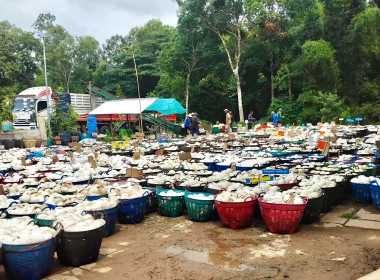 ธุรกิจการรวบรวมยางพารากลุ่มเกษตรกรชาวสวนยางอำเภอหัวตะพาน พารามิเตอร์รูปภาพ 6