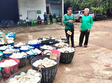 ธุรกิจรวบรวมยางพารากลุ่มเกษตรกรชาวสวนยางอำเภอหัวตะพาน พารามิเตอร์รูปภาพ 4