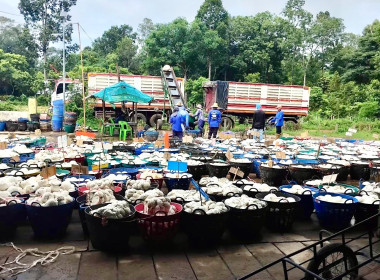 ธุรกิจรวบรวมยางพารากลุ่มเกษตรกรชาวสวนยางอำเภอหัวตะพาน พารามิเตอร์รูปภาพ 5